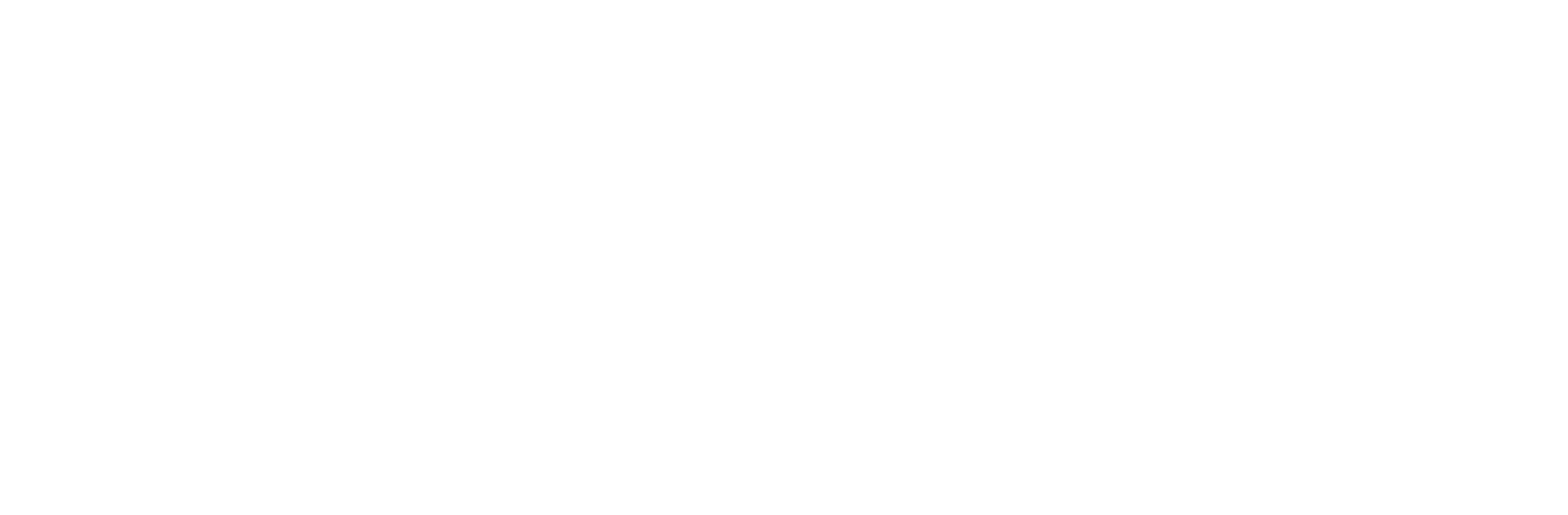 diesparfuexe_logo_neg